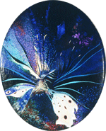 Toranago